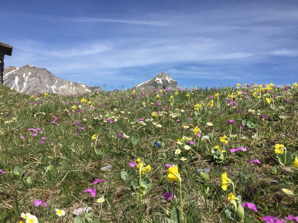 トリンスHaus Alpenroseアパートメント エクステリア 写真